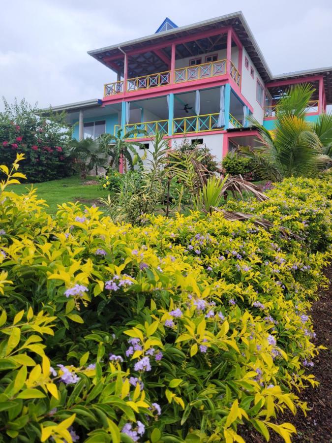 321 Surprise Beach House And Glamping Archibolds Extérieur photo